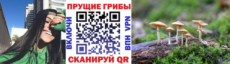 Галлюциногенные грибы MAGIC MUSHROOMS  Гаврилов-Ям 